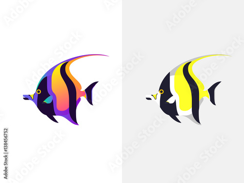 Photography Tropical Fish