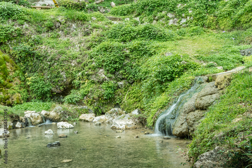 自然が育む清き水の流れ