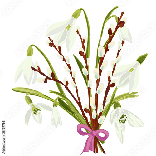Spring floral background with beautiful snowdrop and pussy willow flower