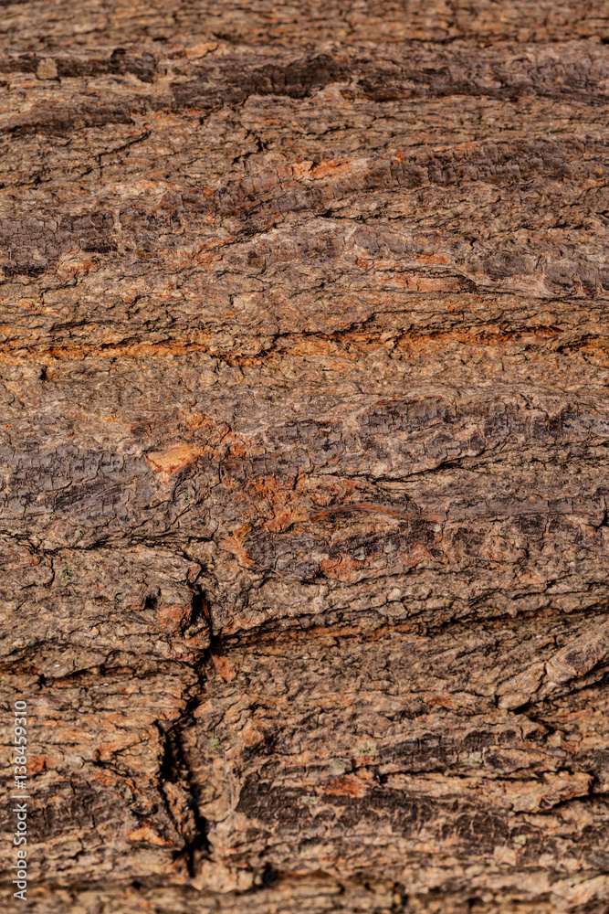 wooden background wooden background