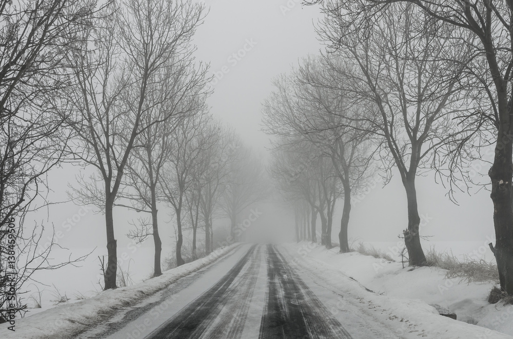 Winter landscape, country road in the fog surrounded by trees Winter landscape, country road in the fog surrounded by trees