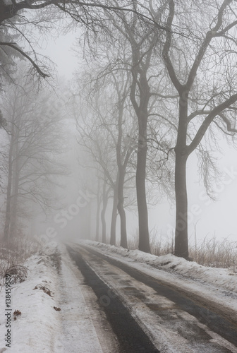 Winter landscape, country road in the fog surrounded by trees