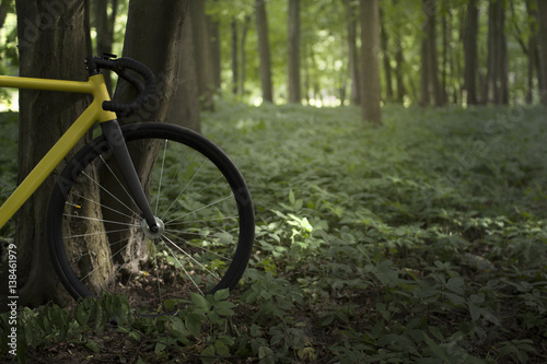 Yellow fixed gear bicycle in the woods