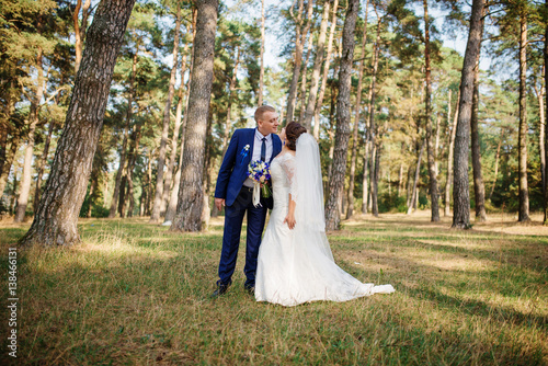 Bride and groom at pine forest, lovely wedding couple at nature.