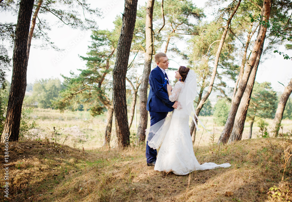 Bride and groom at pine forest, lovely wedding couple at nature. Bride and groom at pine forest, lovely wedding couple at nature.