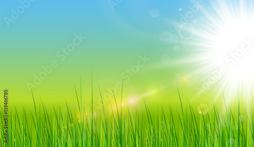 Green background with sun grass and lens flare. vector spring background
