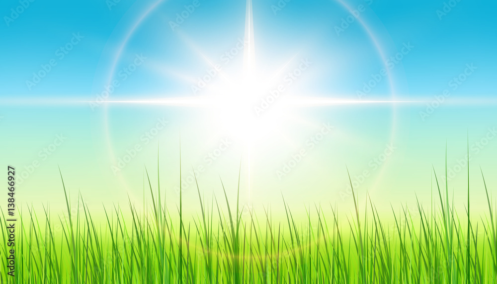 Green background with sun and grass, spring background