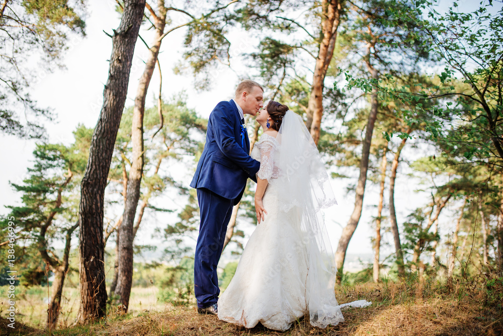 Bride and groom at pine forest, lovely wedding couple at nature. Bride and groom at pine forest, lovely wedding couple at nature.