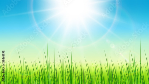 Green background with sun and grass  spring time