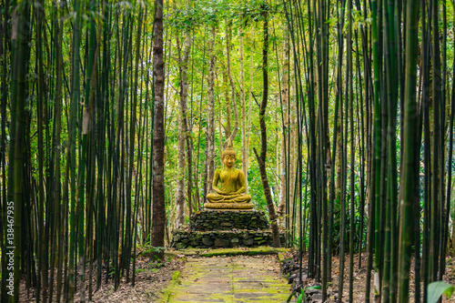 Buddha statue in middle of bamboo forest.