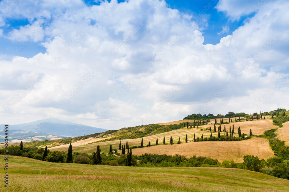 Fototapeta premium winding road flanked with cypresses in crete senesi Tuscany, Italy