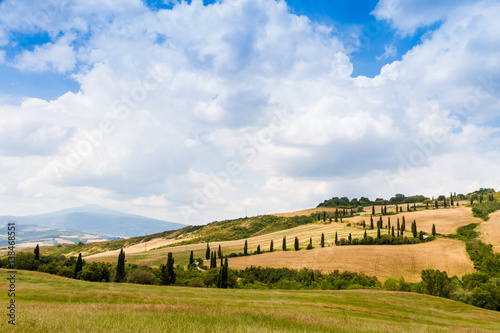 winding road flanked with cypresses in crete senesi Tuscany, Italy