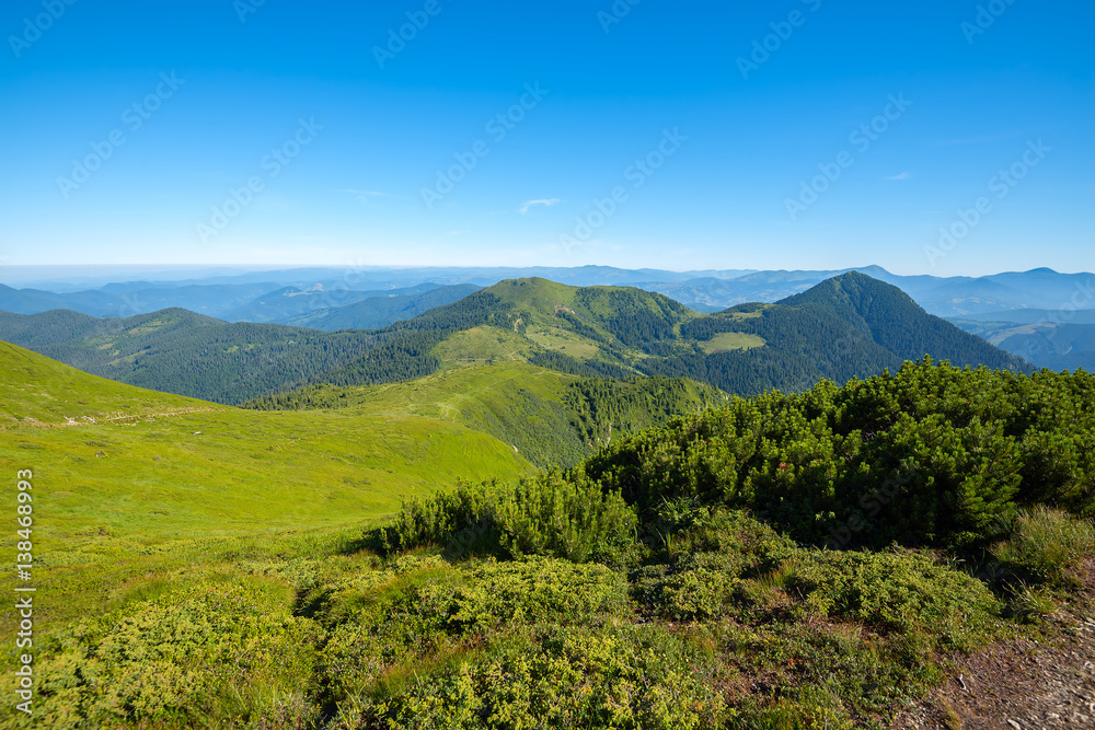 Magic landscape - green mountains covered with green grass