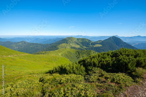 Magic landscape - green mountains covered with green grass © sanechka