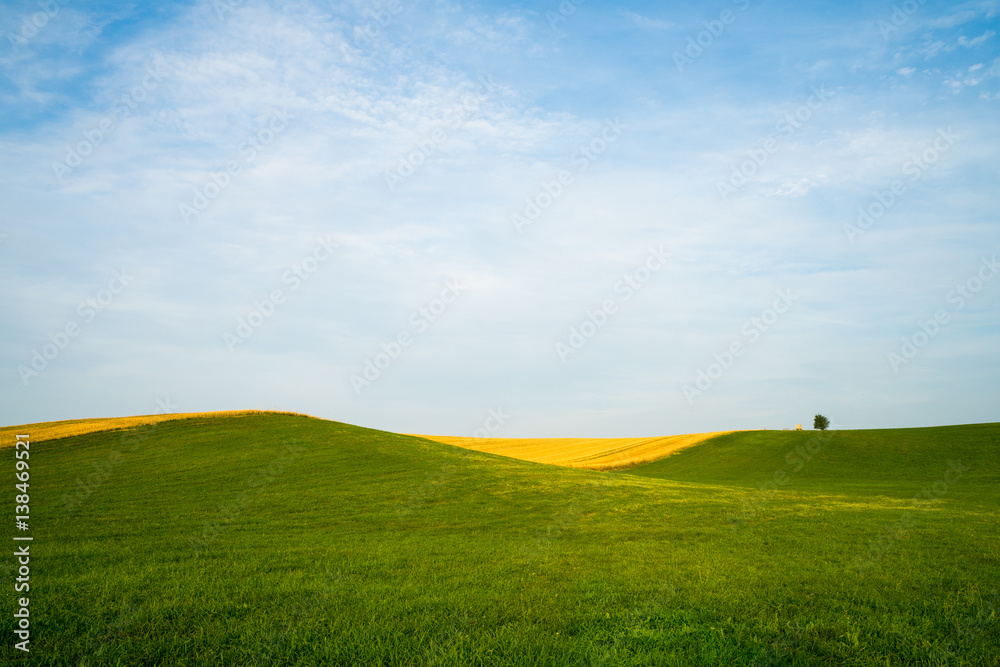 Obraz premium Hügellandschaft