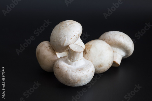 Group of fresh ripe simple mushroom on a dark background
