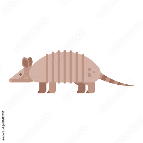 Vector flat style illustration of armadillo.