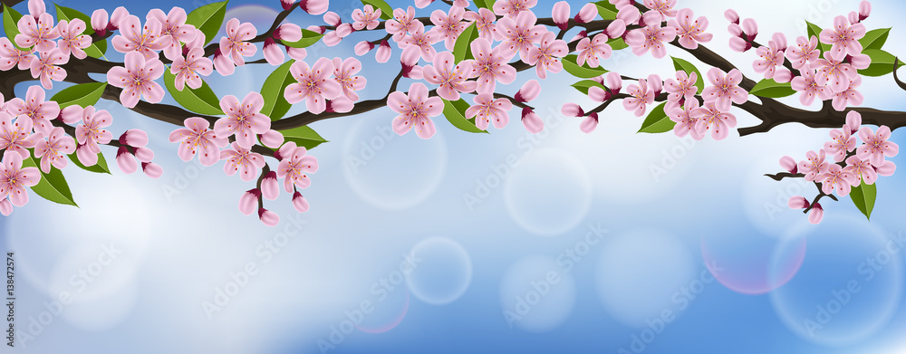 Horizontal spring banner with cherry tree branch, flower and leaf, with
