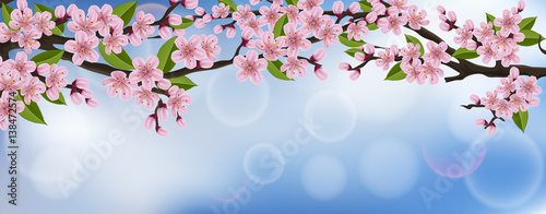 Horizontal spring banner with cherry tree branch, flower and leaf, with blue sky in background