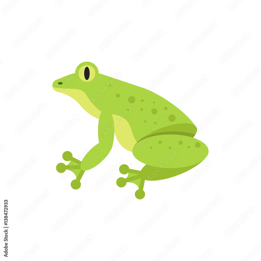 Obraz premium Vector flat style illustration of frog.