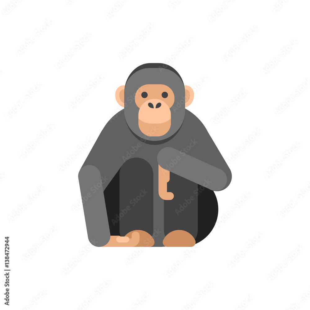 Vector flat style illustration of monkey.