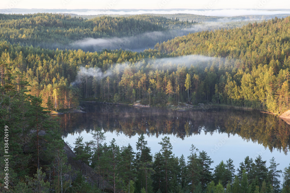 The view of the lake and wild forest from the top of the cliff in Repovesi national Park. South-East Finland.