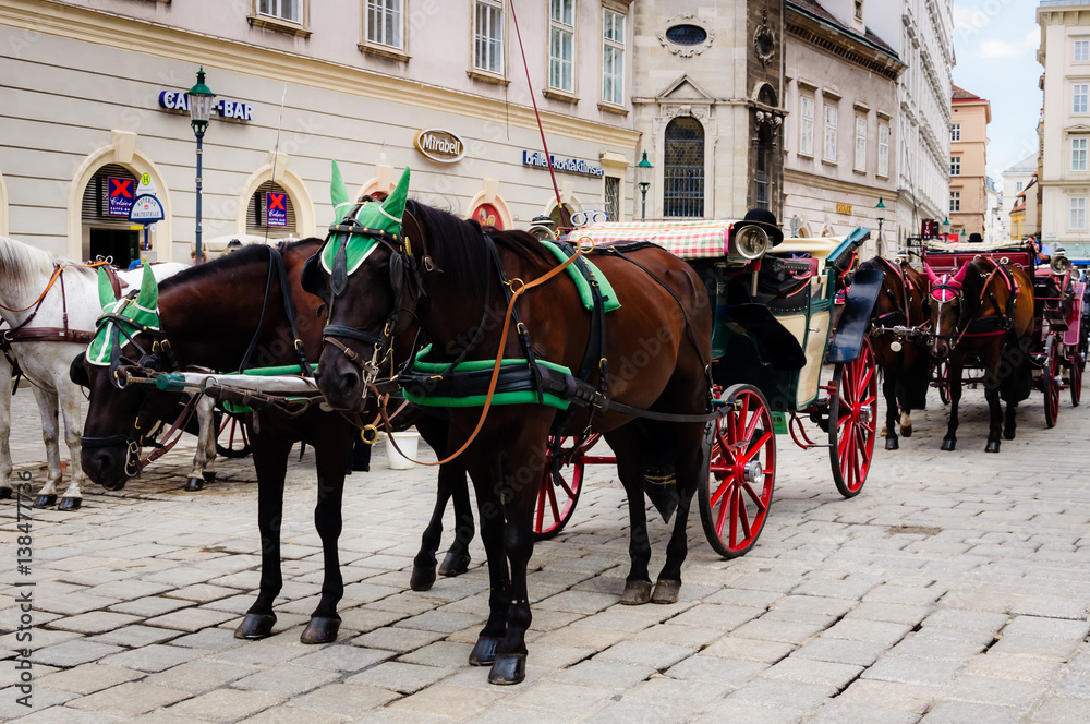 horse-drawn carriage tradition,Vienna Austria