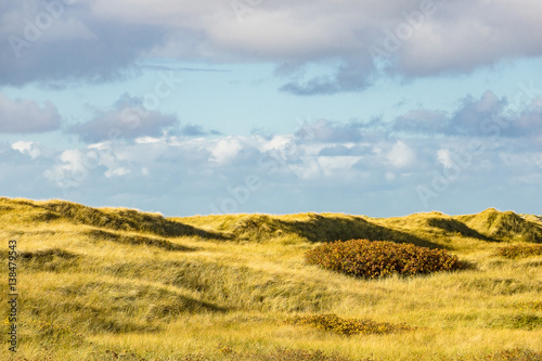 Landschaft in den Dünen auf der Insel Amrum © Rico Ködder