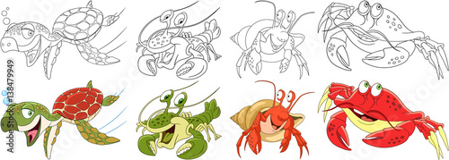 Cartoon animals set. Collection of arthropods and creeping reptilians. Turtle (tortoise, terrapin), hermit crab, lobster, crayfish, crawfish. Coloring book pages for kids.