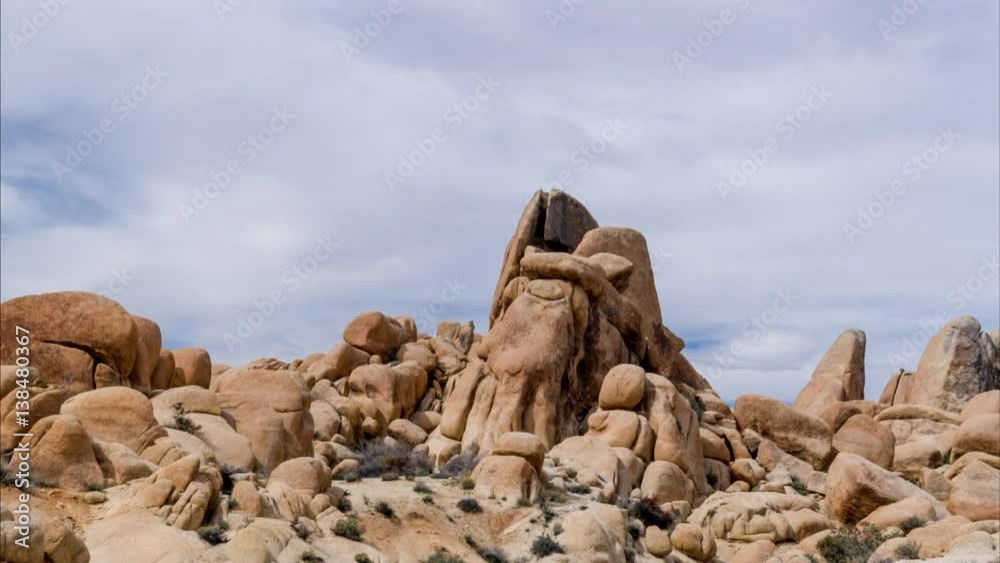 Joshua Tree Natural Forest Time Lapse Movie