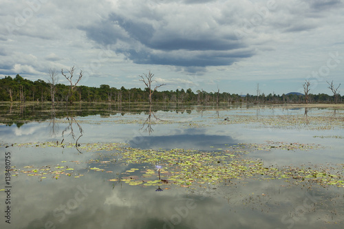 Lake around Neak Pean temple in Siem Reap 