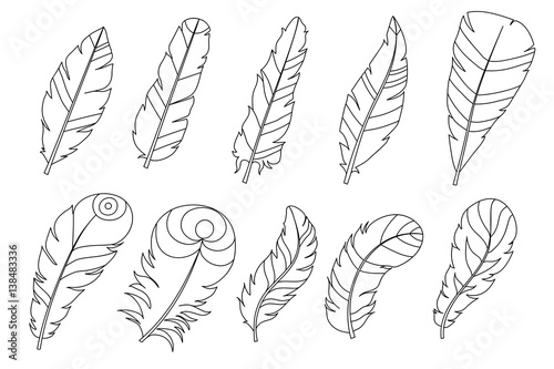 Amazing bird feathers. Vector. Set collection. Creative bohemia concept for wedding invitations, cards, tickets, congratulations, branding, logo label, emblem. Black and white