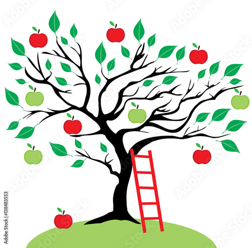 vector apple tree