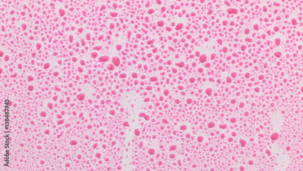 Beautiful background. Pink drops of rain trickles in rivulets on a white background. Beautiful background. Pink drops of rain trickles in rivulets on a white background.
