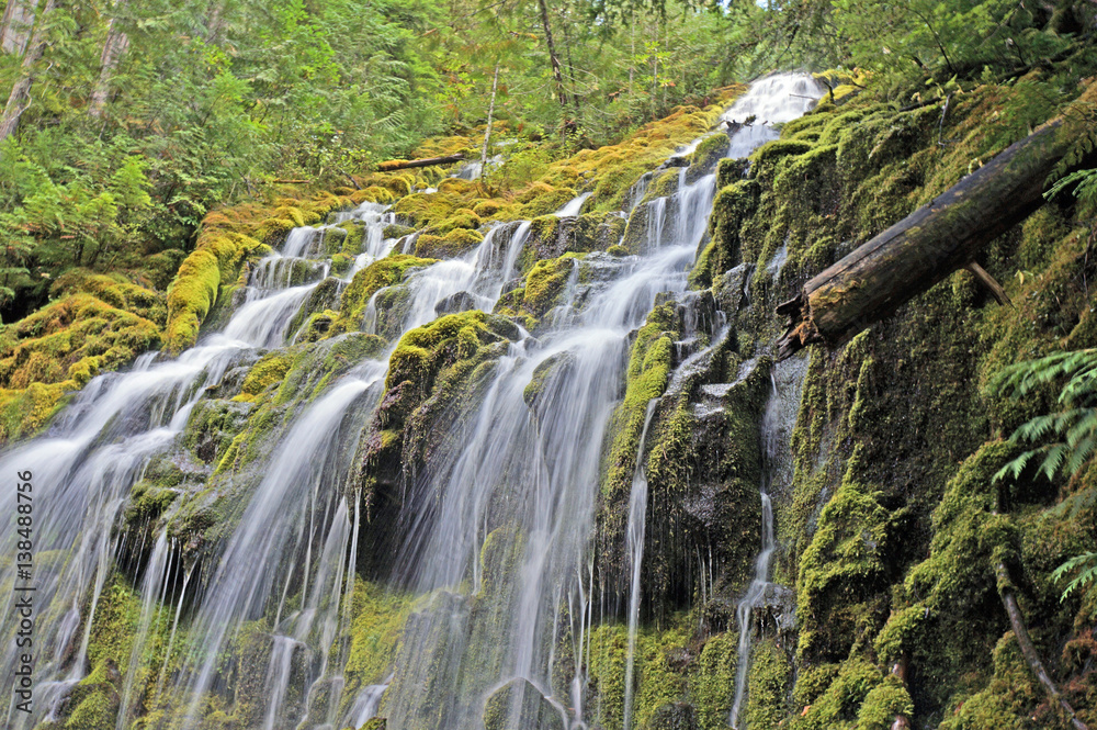 Obraz premium Pacific Northwest