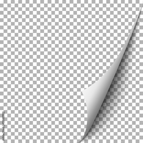 Page curl with shadow on blank transparent checkered sheet of paper. Template page design.