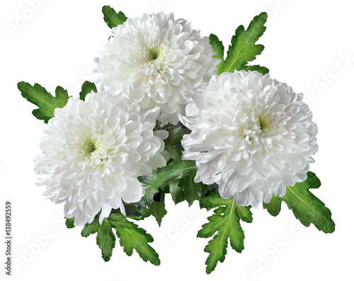 Carta da parati Bouquet of white chrysanthemum flowers