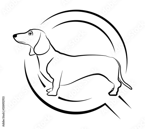 Dachshund with magnifying glass b/w