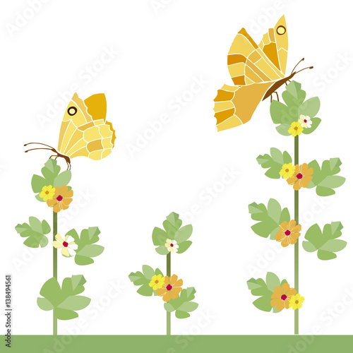 yellow butterflies and flowers