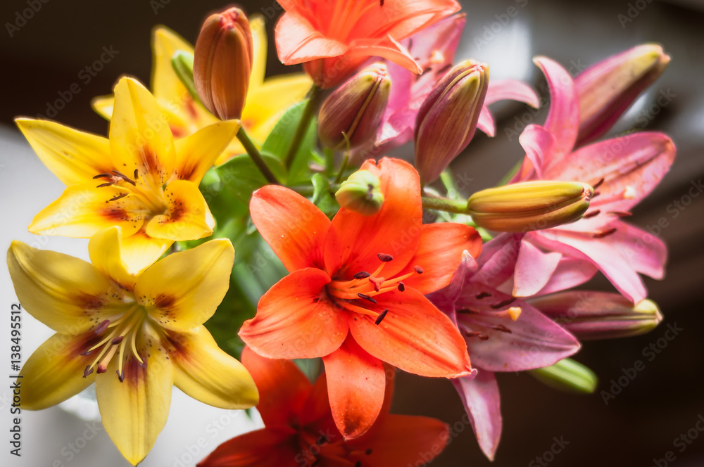 Bouquet of bright multi-colored lilies