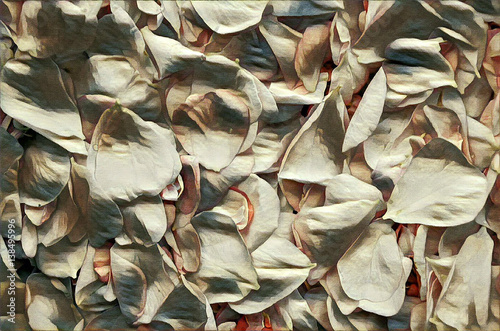 fresh and soft rose petals. Floral background on canvas texture