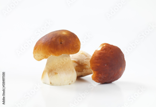 edible bolete mushrooms (porcini)