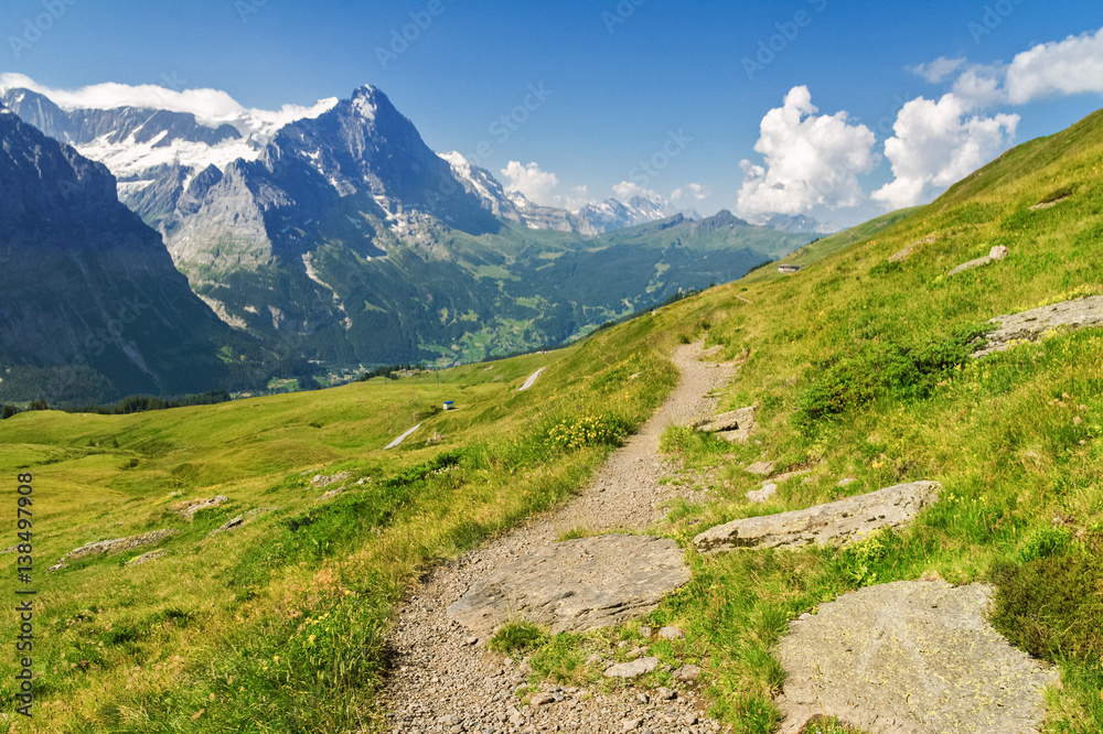Beautiful idyllic Alps landscape and trail, mountains in summer, Switzerland
