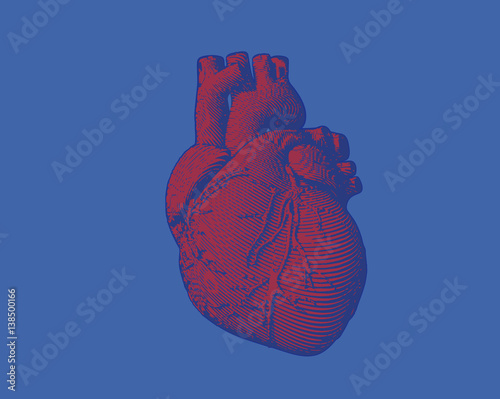 Engraving heart illustration isolated on blue BG photo