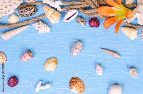 summer background made of seashells and Maritime objects