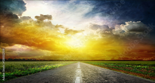 Bird and road on a decline