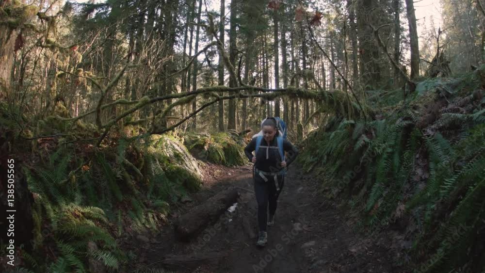 Steady Cam of Mom Hiking with Baby Backpack on Mossy Forest Trail Steady Cam of Mom Hiking with Baby Backpack on Mossy Forest Trail