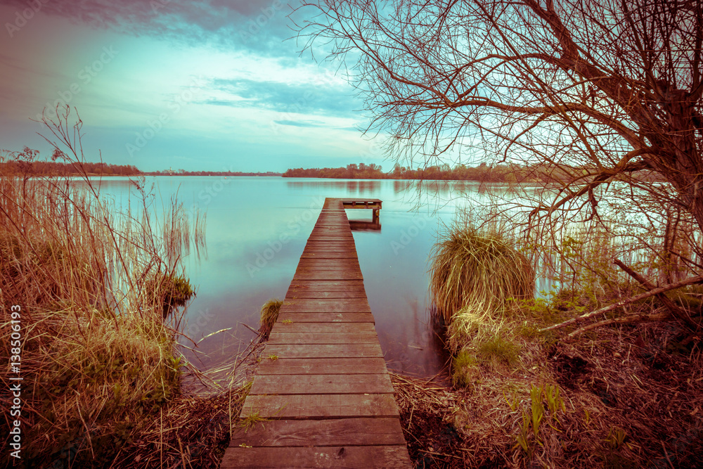 Fototapeta premium Early spring landscape with emerging plants in vintage colors