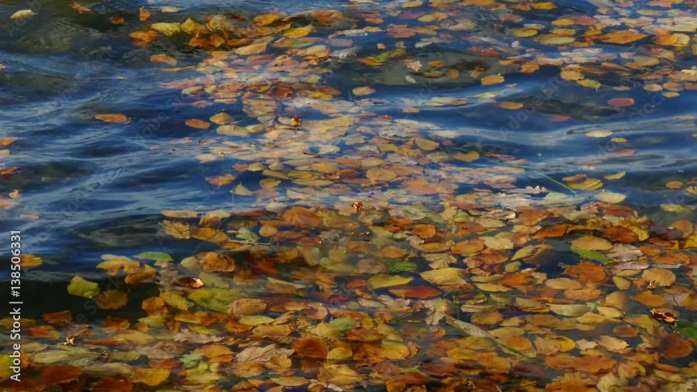 Herbstlaub schwimmt im bewegtem Wasser Herbstlaub schwimmt im bewegtem Wasser