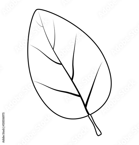 leaf silhouette vector symbol icon design.